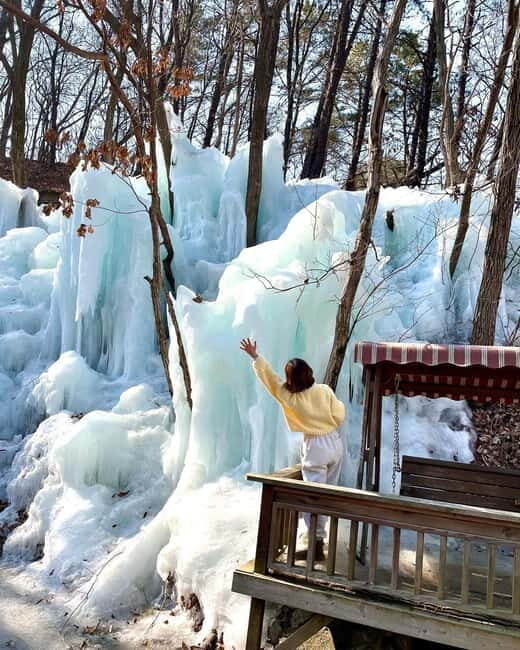 Seoul: Winter Day Tour in Pocheon with Strawberry Picking - FAQ