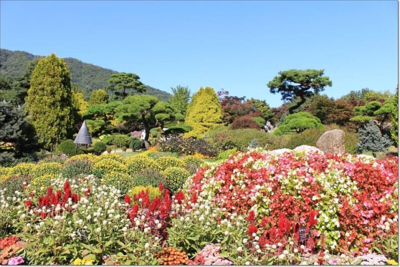 Seoul:Private-Nami Island,Morning Calm Garden,Petite France - Who Will Love This Tour?