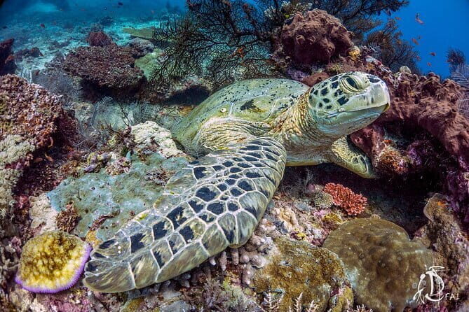 Sepanggar Island Luxury Boat - Who Will Love This Tour?