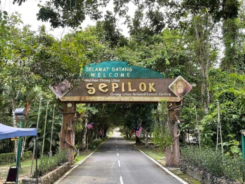 Sepilok OrangUtan, Sun Bear & Labuk Bay Full Day Trip - An Honest Breakdown of the Experience
