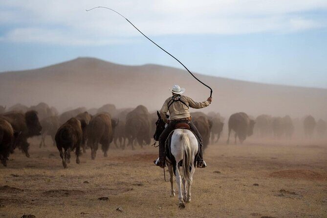 Sept 26 Only - 2025 Custer State Park Buffalo Roundup - Public - Key Points