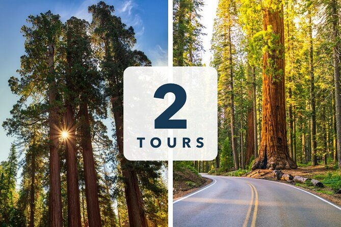 Sequoia and Kings Canyon Audio Tour Self Guide National Park Tour - A Thorough Look at the Tour Experience
