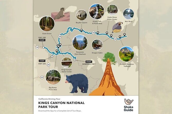 Sequoia and Kings Canyon Audio Tour Self Guide National Park Tour - Real Traveler Insights and Authentic Impressions