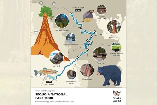 Sequoia and Kings Canyon Audio Tour Self Guide National Park Tour - Who Is This Tour Best For?