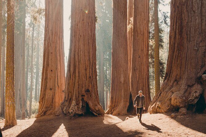 Sequoia & Kings Canyon Two Day Private Tour & Hike - What Makes This Tour Stand Out?