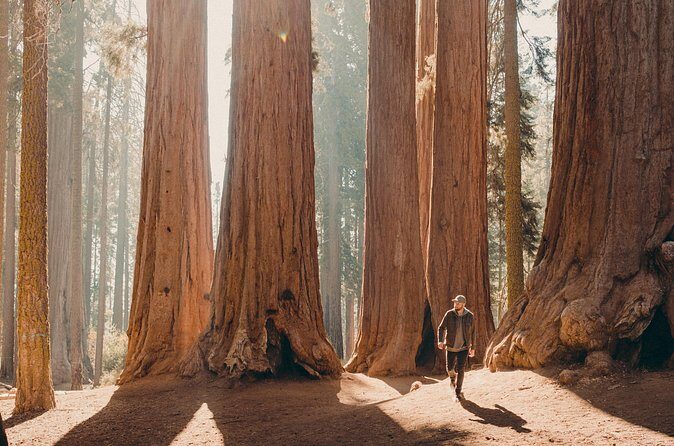 Sequoia & Kings Canyon Two Day Private Tour & Hike - Final Thoughts
