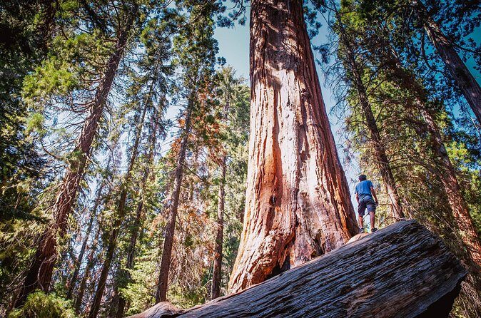 Sequoia & Kings Canyon Two Day Private Tour & Hike - FAQ