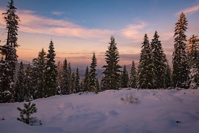 Sequoia National Park Adventure from Tulare - The Sum Up
