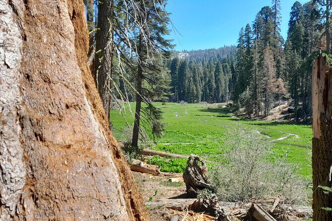 Sequoia National Park Private Tour - Pricing and Value