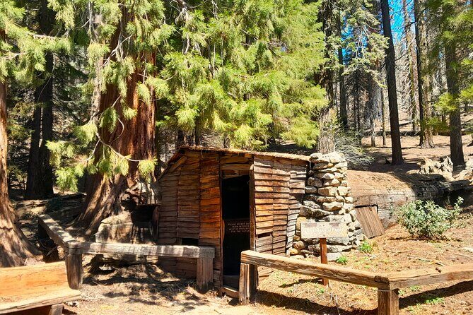 Sequoia National Park Private Tour - Who Should Consider This Tour?