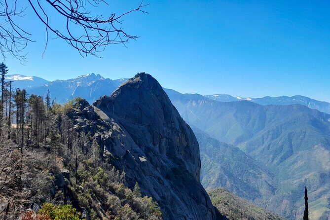 Sequoia National Park Private Tour - The Sum Up: Is This Tour Right for You?
