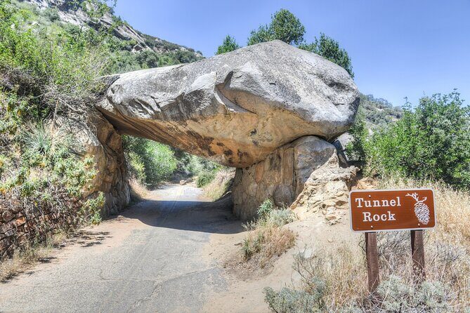 Sequoia National Park Self-Guided Audio Tour - What Travelers Should Know