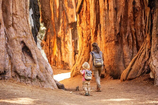 Sequoia National Park Self-Guided Audio Tour - FAQ