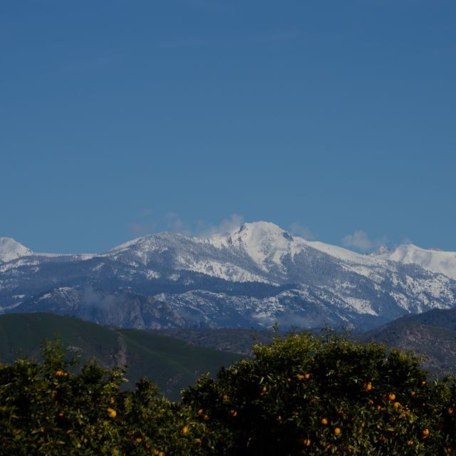 Sequoia National Park: Sherman Tree & Congress Trail Walk - Practical Details: What You Need to Know