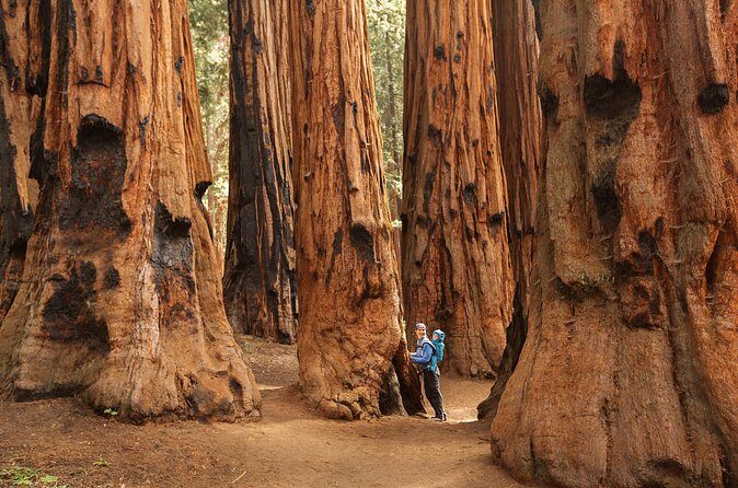 Sequoia National Park Small Group Tour from Three Rivers - Authentic and Personal Experiences