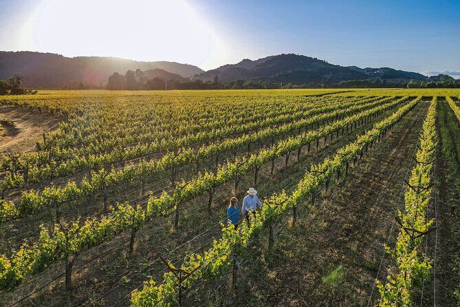 Serene and Romantic Wine Tasting Next to the Vines in Napa Valley - Key Points