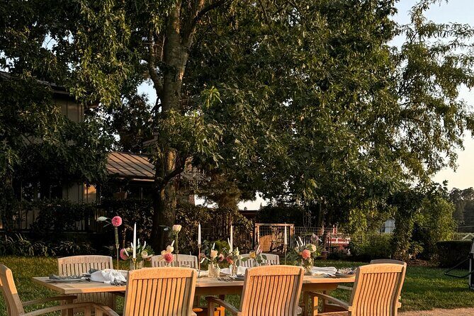 Serene and Romantic Wine Tasting Next to the Vines in Napa Valley - Exploring the Experience in Detail