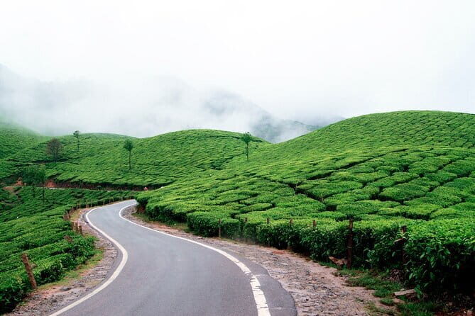 Serene Munnar Retreat: Private Tour from Kochi to the Munnar Hill - FAQs