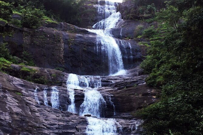 Serene Munnar Retreat: Private Tour from Kochi to the Munnar Hill - Final Thoughts