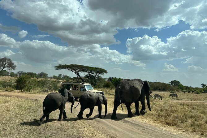 Serengeti 2-Day Safari from Mwanza - Analysis of Price and Value