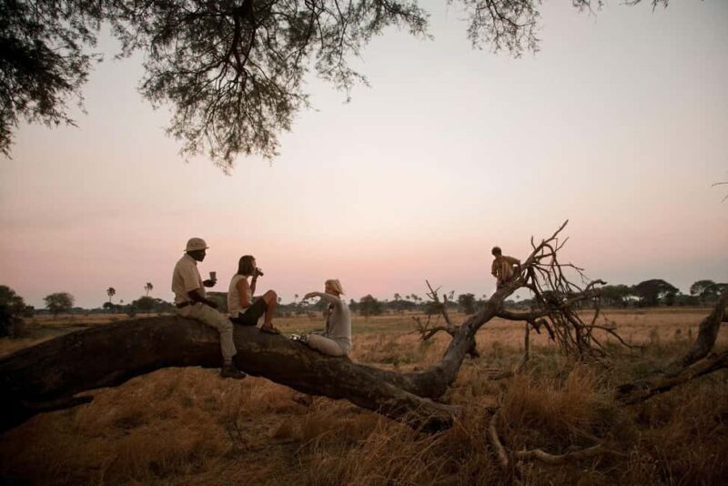 Serengeti: 7-Day Great Migration Safari with Flights - Key Points