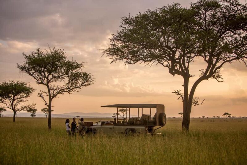 Serengeti: 7-Day Great Migration Safari with Flights - The Itinerary: What to Expect Day by Day
