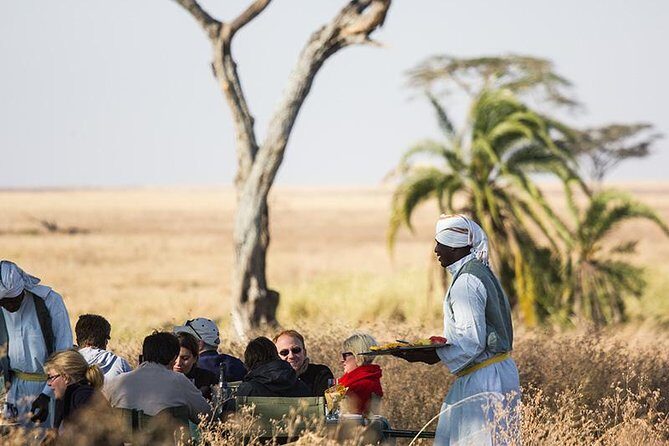 Serengeti Balloon Safari and authentic bush breakfast - The Cost and Value