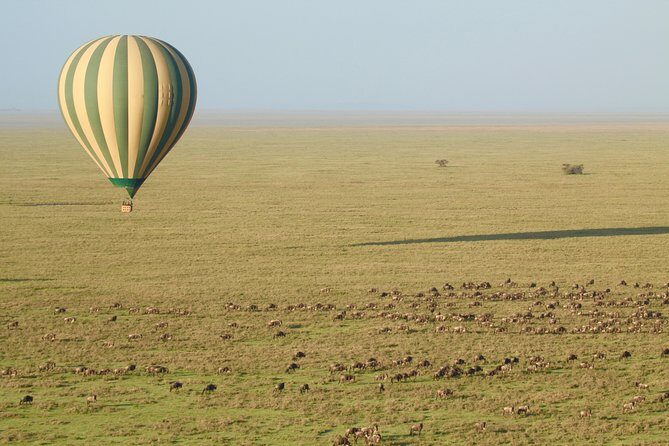 Serengeti Balloon Safari and authentic bush breakfast - Why This Tour Suits Certain Travelers