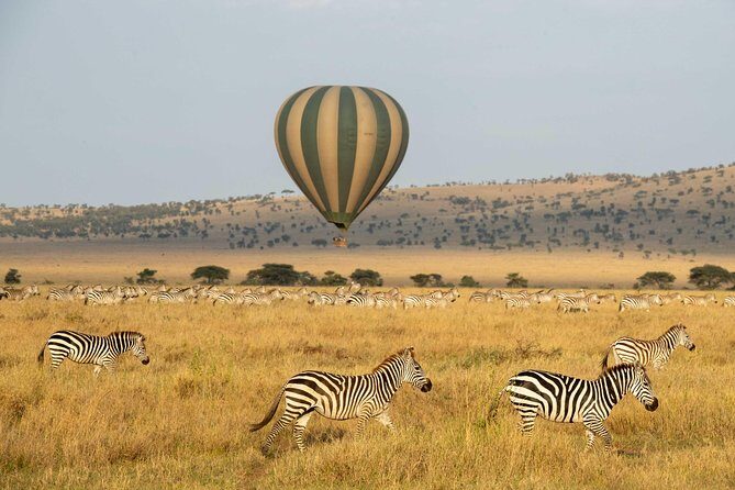 Serengeti Balloon Safari and authentic bush breakfast - Authentic Experiences and Highlights from Reviews
