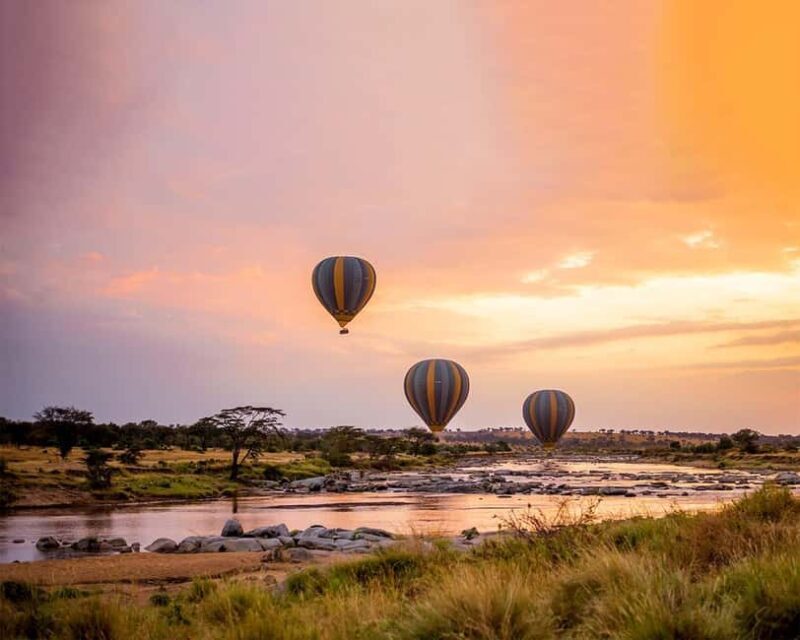 Serengeti: Balloon Safari and Bush Breakfast - Experience Overview