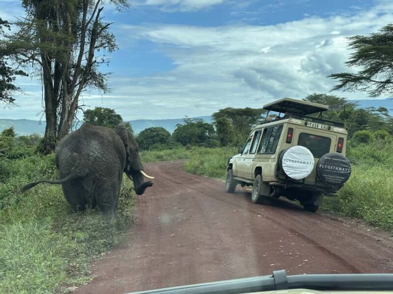 Serengeti: Fly-in Drive out 4-Day 3-Night Safari - Key Points