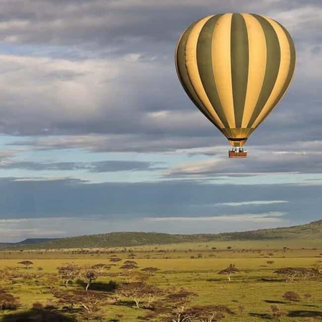 Serengeti: Hot Air Balloon Safari with Breakfast & Champagne - The Experience in Detail