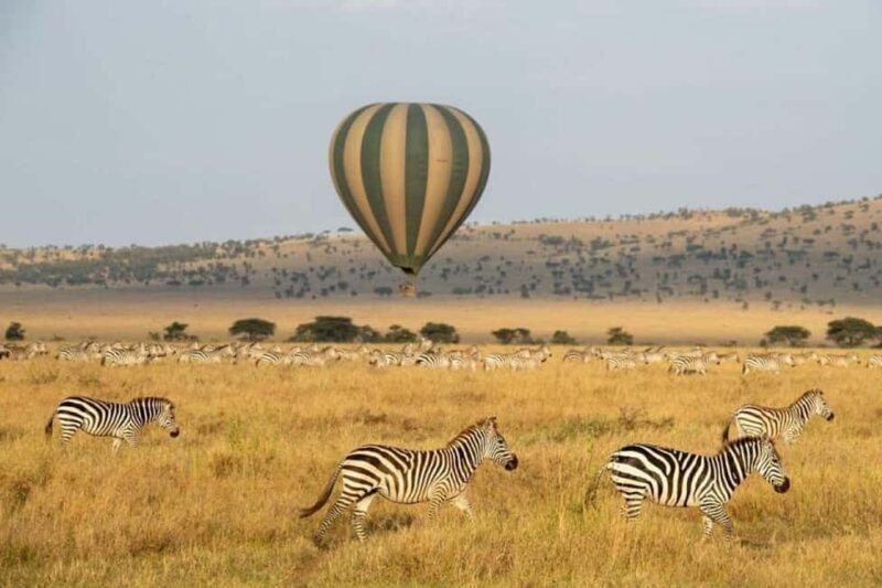 Serengeti: Hot Air Balloon Safari with Breakfast & Champagne - Practical Considerations and Value