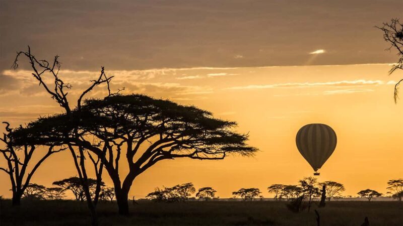 Serengeti National Park: Balloon Safari at Dawn - The Experience from the Travelers’ Perspective