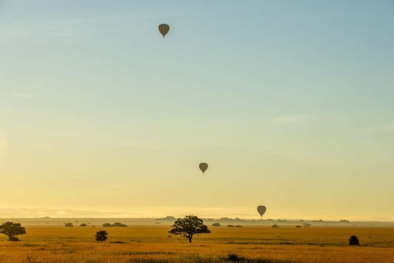 Serengeti National Park: Balloon Safari at Dawn - Additional Information