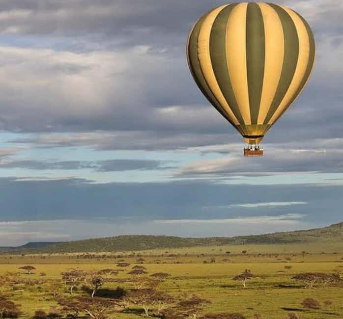 Serengeti National Park: Big Five Balloon Safari Experience - Who Should Consider This Tour?