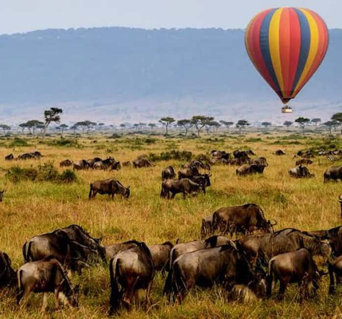 Serengeti National Park: Big Five Balloon Safari Experience - Final Thoughts