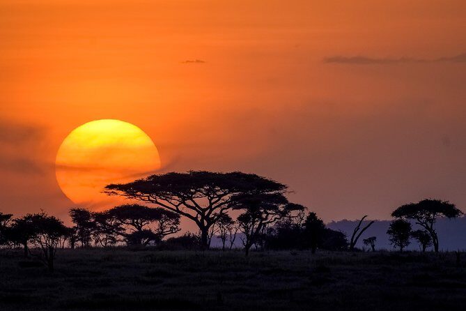 Serengeti & Ngorongoro 3 days Fly Safari in from Zanzibar - How the Experience Feels in Practice