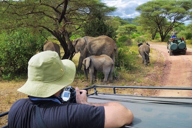 Serengeti & Ngorongoro fly in safari - Key Points