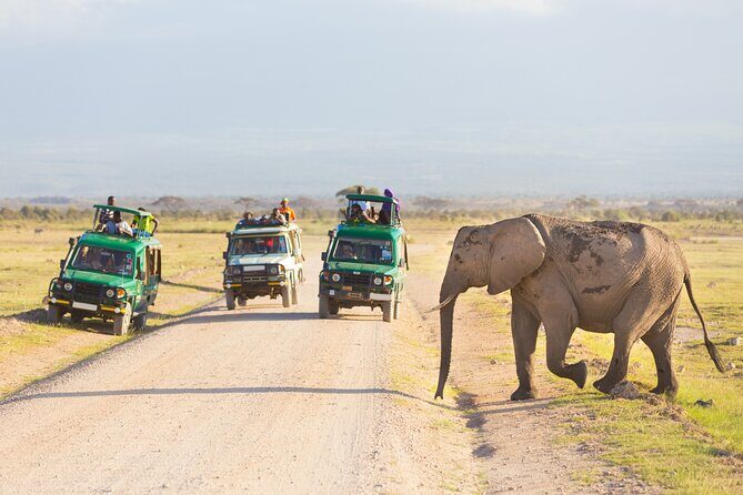 Serengeti & Ngorongoro fly in safari - Day 3: The Big Finale in Ngorongoro