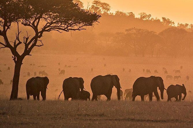 Serengeti & Ngorongoro fly in safari - Practical Details and Considerations