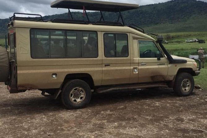 serengeti, ngorongoro & tarangire 4 days private tour - The Itinerary: What to Expect