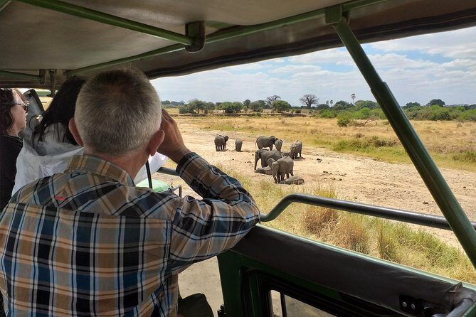 Serengeti Tour  7Days/6 nights (4 stars accommodations) - An In-Depth Look at the Safari Experience