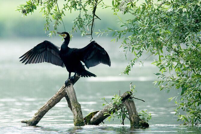 Serenity Cruise to Australia's Everglades - Frequently Asked Questions