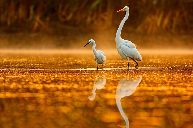 Serenity Cruise to Australia's Everglades - Final Thoughts