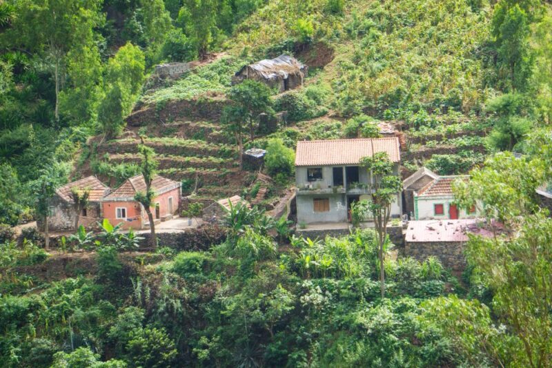 Serra Malagueta Natural Park: Hike to Gongon Valley & Lunch - Summing Up: Is This Tour Worth It?