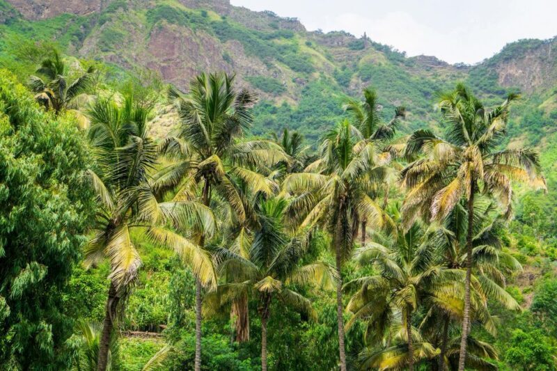 Serra Malagueta: Principal Valley Hike & Lunch with Locals - Who Will Love This Tour?