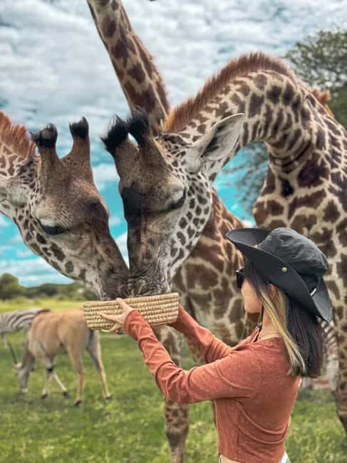 SERVAL WILDLIFE DAY - TOUR FROM ARUSHA, MOSHI OR ZANZIBAR. - Introduction: A Close-Up with Tanzania’s Wildlife