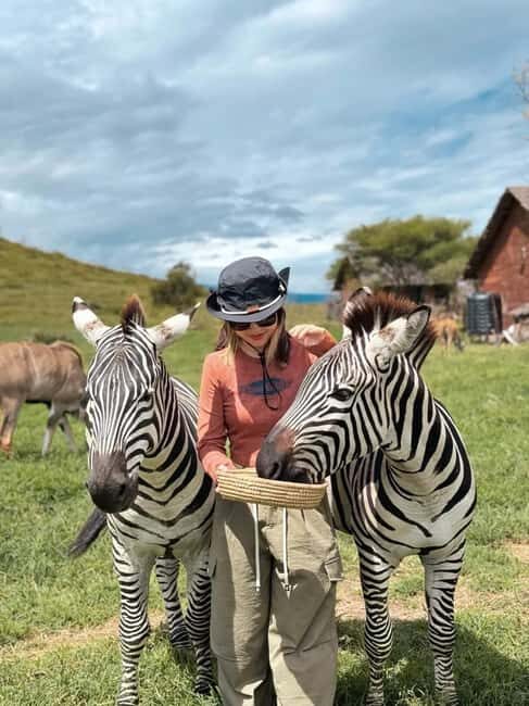 SERVAL WILDLIFE DAY - TOUR FROM ARUSHA, MOSHI OR ZANZIBAR. - Wildlife Viewing and Conservation Focus: Why It Matters
