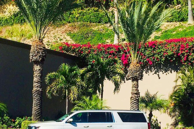services transportation, airport transportation in los cabos, Private shuttles - Practical Tips for Travelers